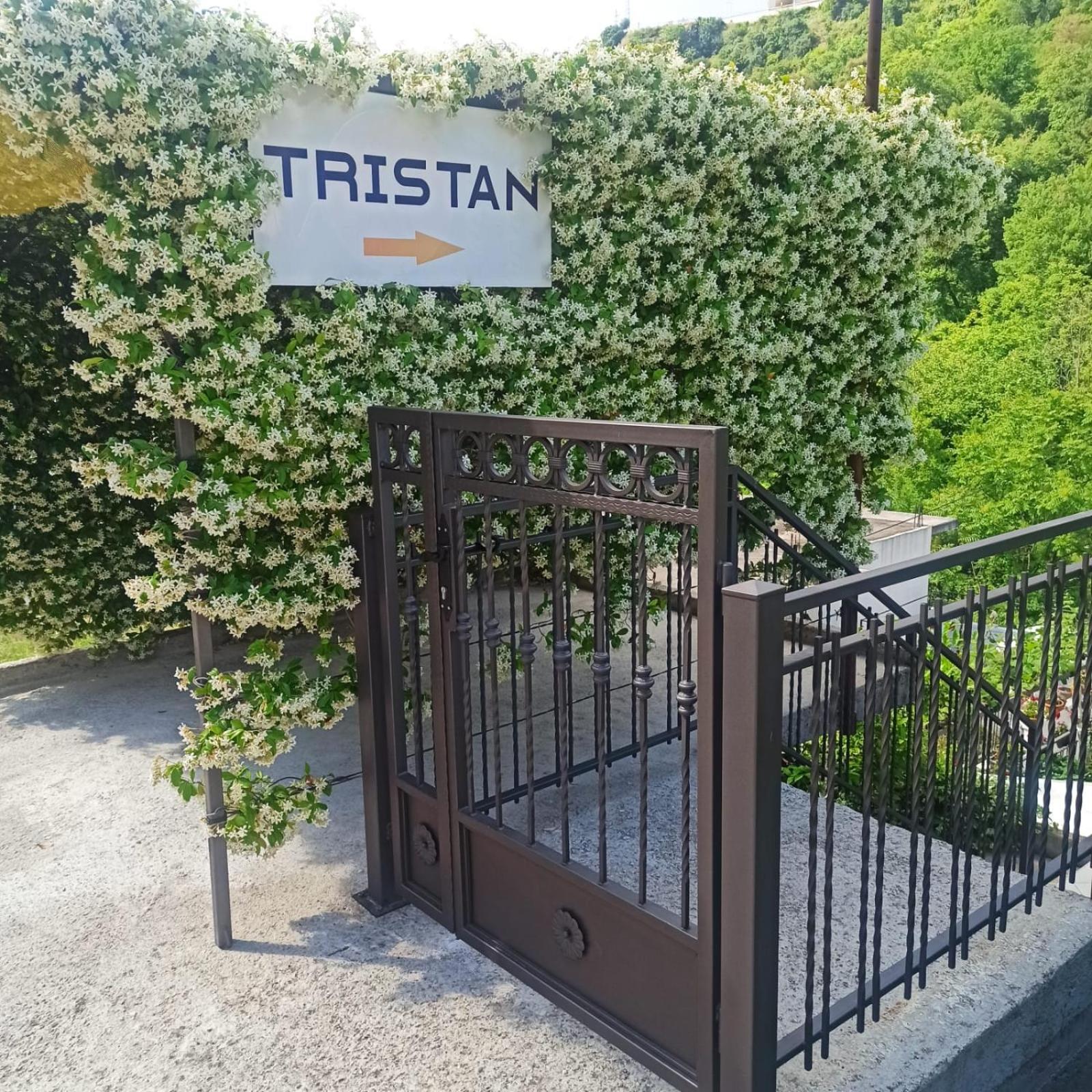 Apartman Tristan Herceg Novi Eksteriør billede